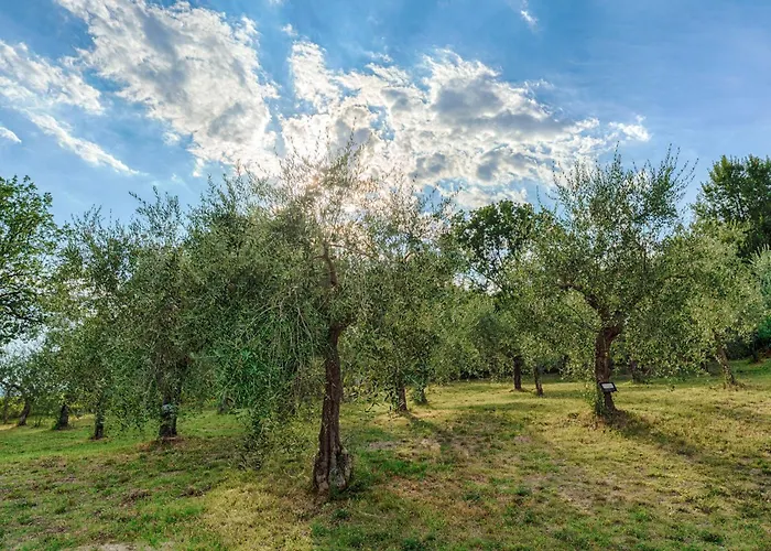 Con Piscina Appartement Spoleto